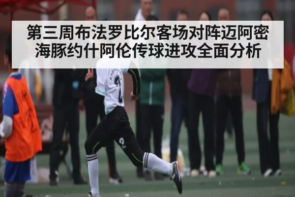 第三周布法罗比尔客场对阵迈阿密海豚约什阿伦传球进攻全面分析